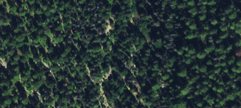 Drummond, MT 59832