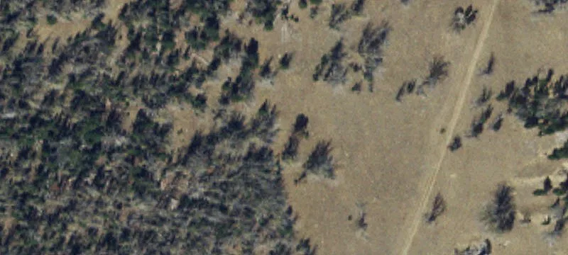 Pony, MT 59747