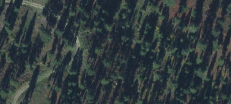 155 Mol Heron Creek Rd