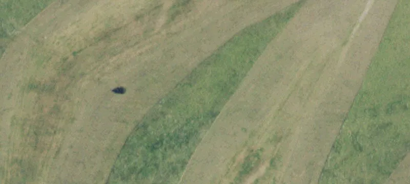 464 Rifle Range Rd