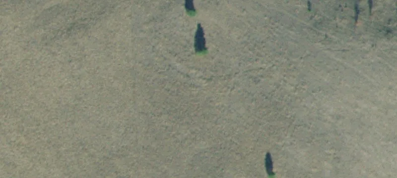Plains, MT 59859