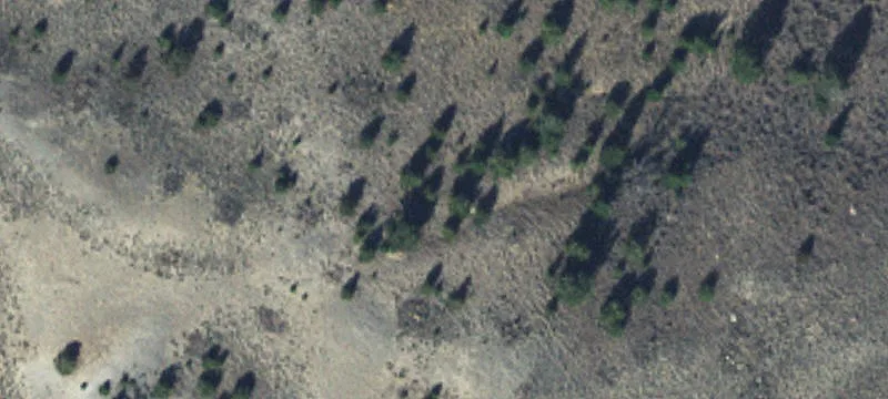 Dillon, MT 59725
