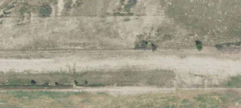 Lambert, MT 59243