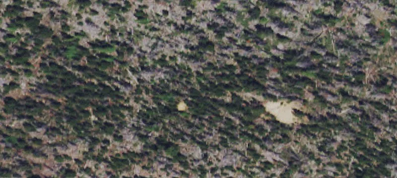 Basin, MT 59631