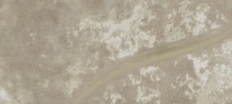 Ingomar, MT 59039