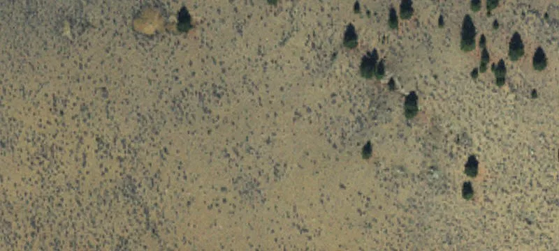 Melrose, MT 59743