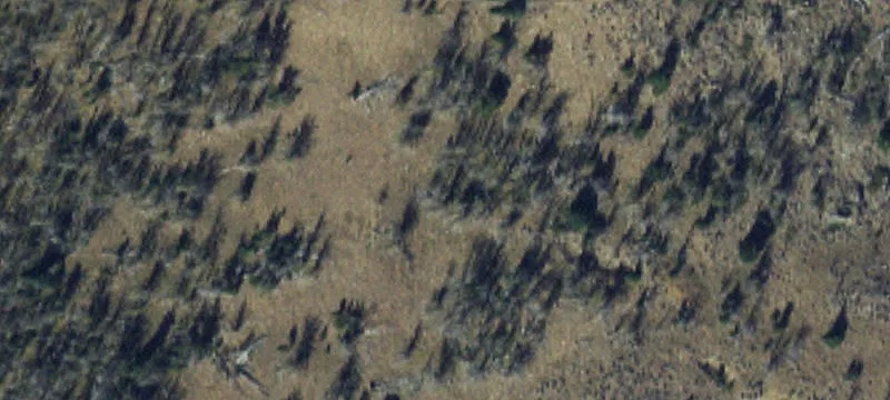 Pony, MT 59747