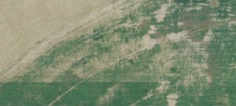 Chinook, MT 59523