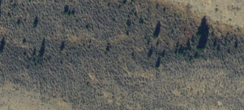 Pony, MT 59747