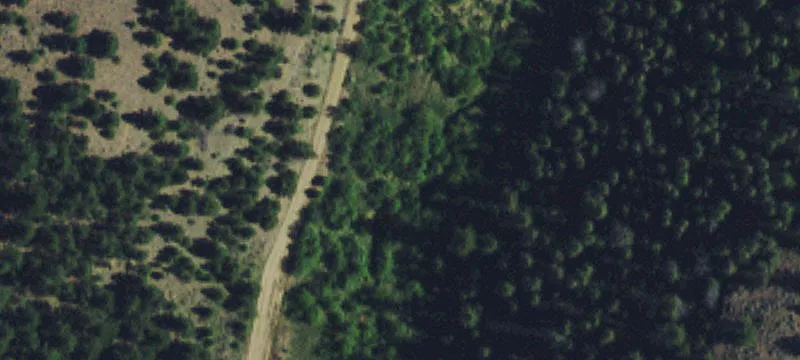 Elkhorn Rd