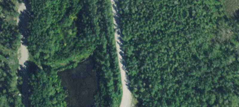 3215 Hwy 464us