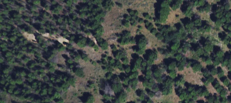 Basin, MT 59631