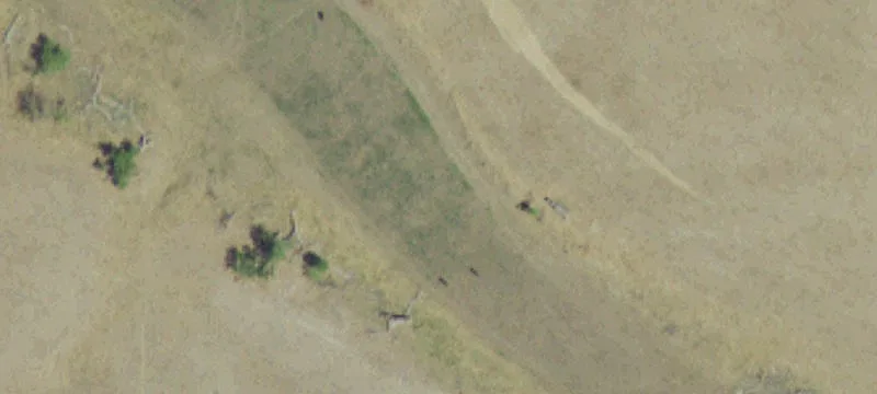 Ekalaka, MT 59324
