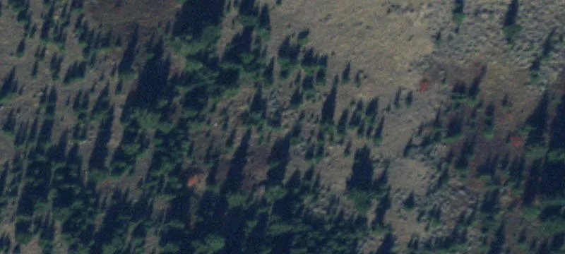 Pony, MT 59747