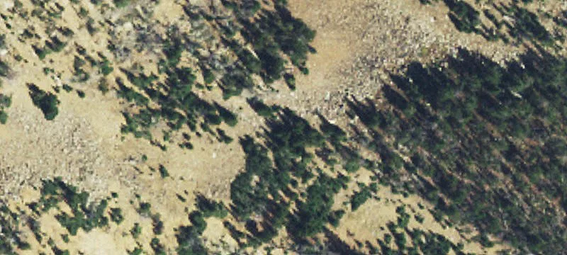 Pony, MT 59747