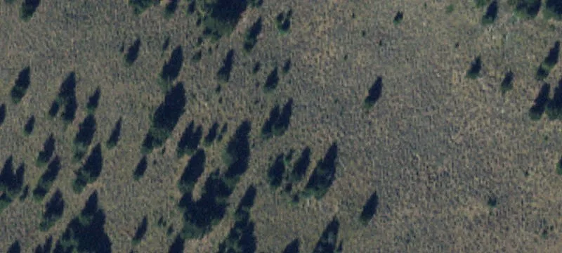 Pony, MT 59747