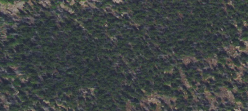 Butte, MT 59701