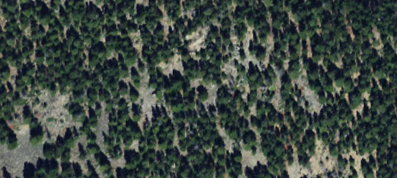 Nye, MT 59061