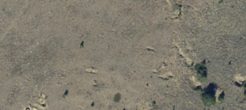 Pony, MT 59747