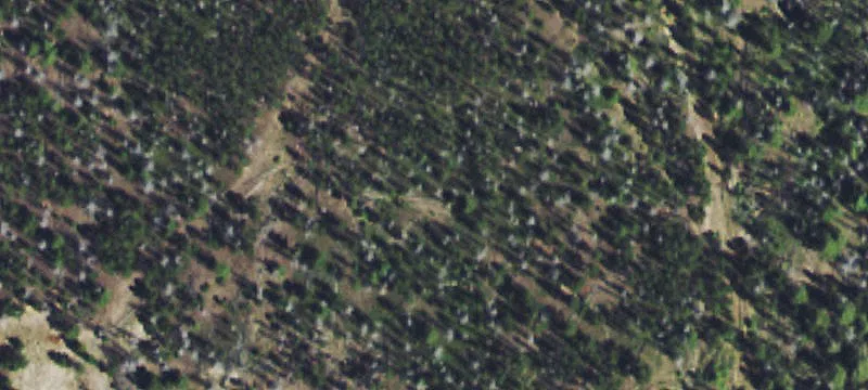 Basin, MT 59631