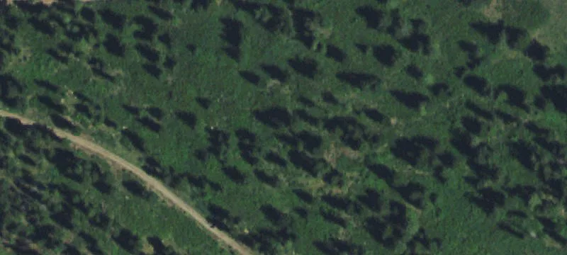2290 Little Wolf Crk Rd
