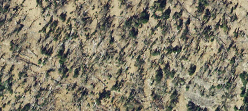 Pony, MT 59747