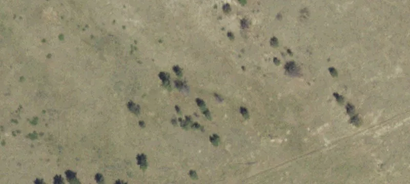 Roundup, MT 59072