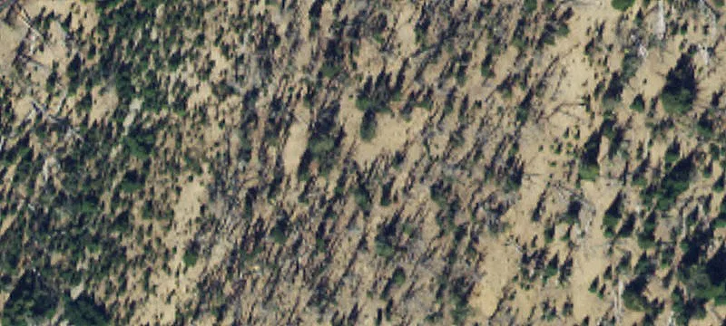 Pony, MT 59747