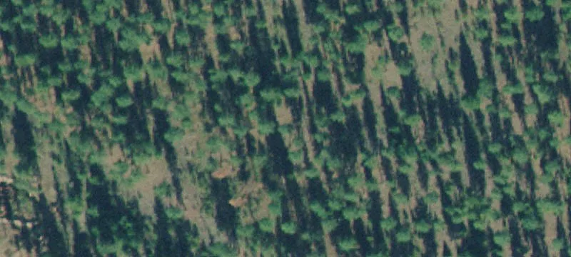 74 Shyrock Loop Dr
