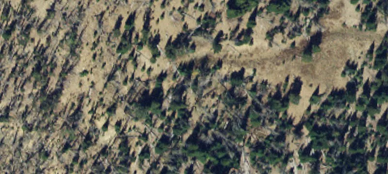 Pony, MT 59747