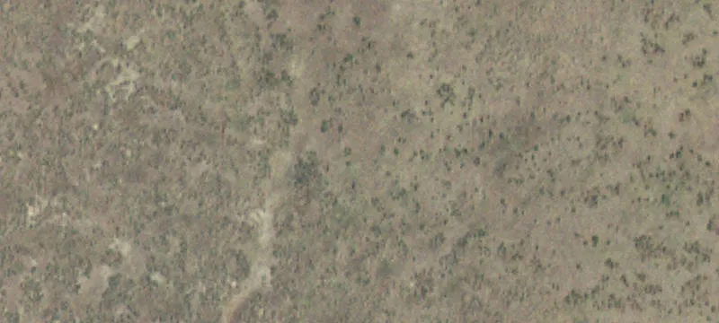 Rapelje, MT 59067