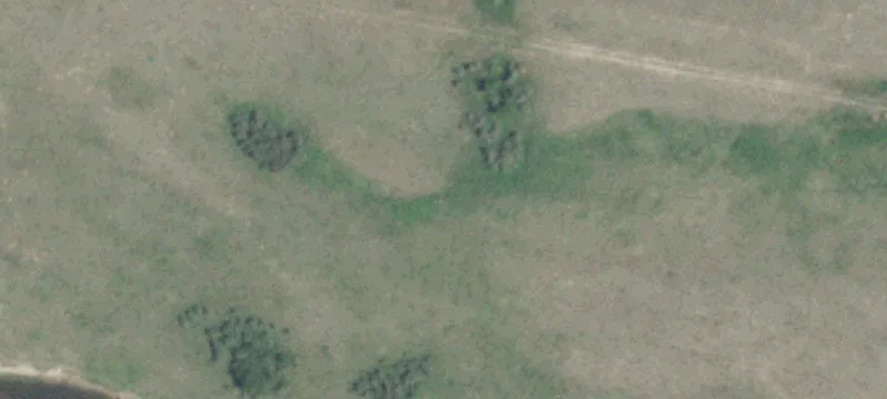 Lambert, MT 59243