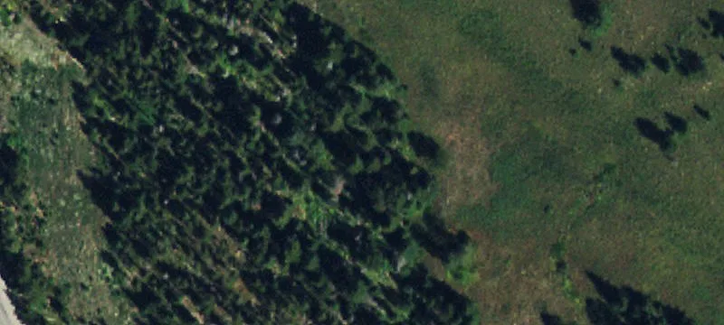 305 Ski Run Rd