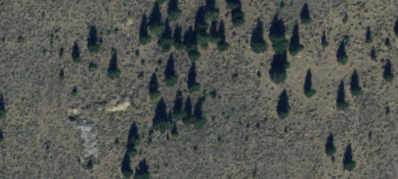 Norris, MT 59745