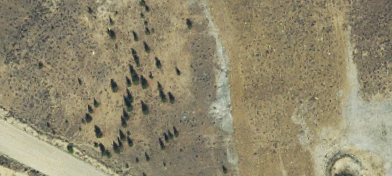 Twin Bridges, MT 59754
