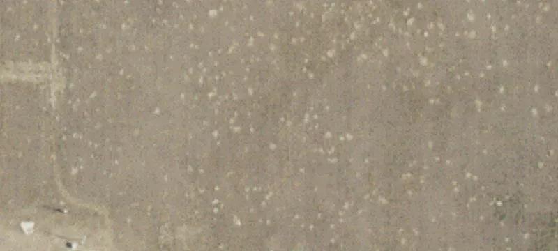Cut Bank, MT 59427