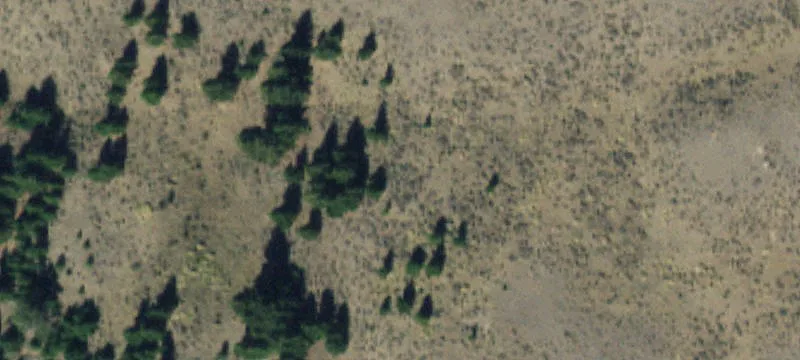 Cameron, MT 59720