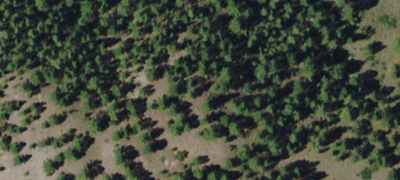 Colstrip, MT 59323