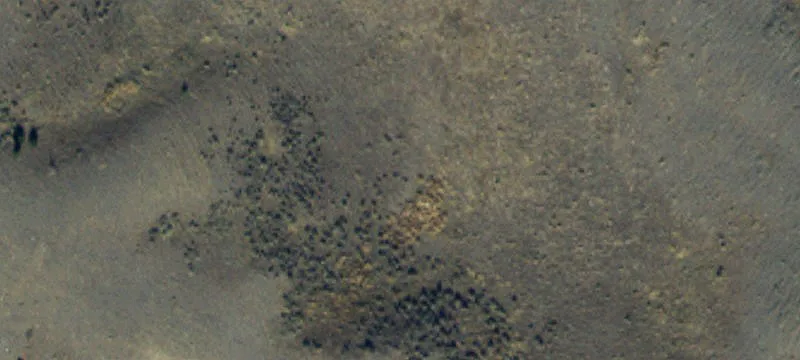 Norris, MT 59745