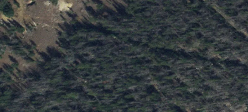 Twin Bridges, MT 59754