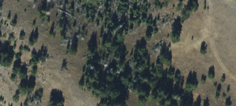 Livingston, MT 59047