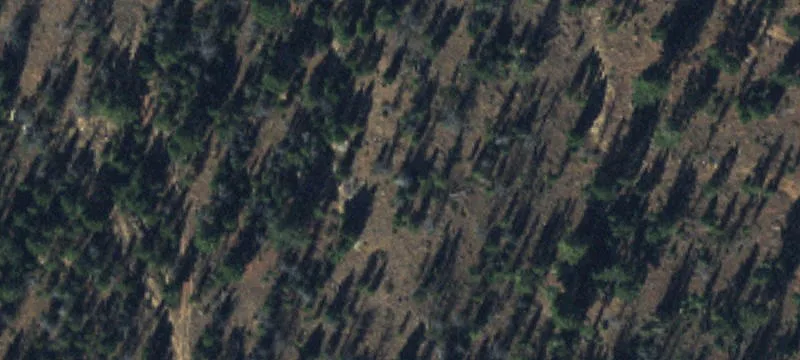 Wise River, MT 59762