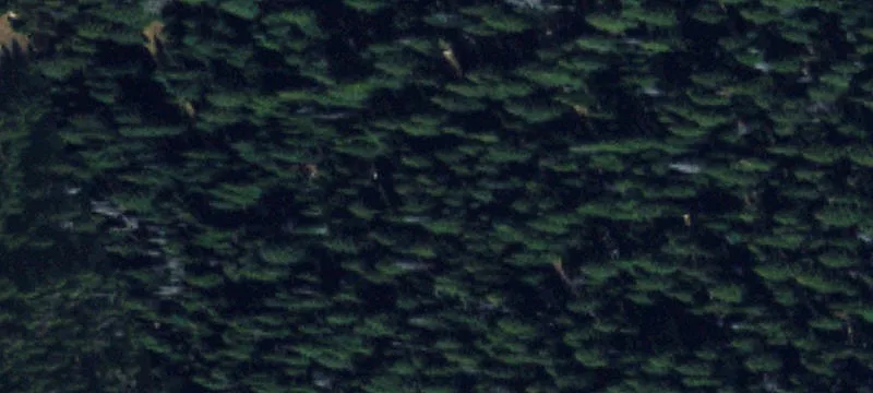 Nye, MT 59061