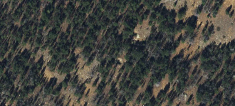 Wise River, MT 59762