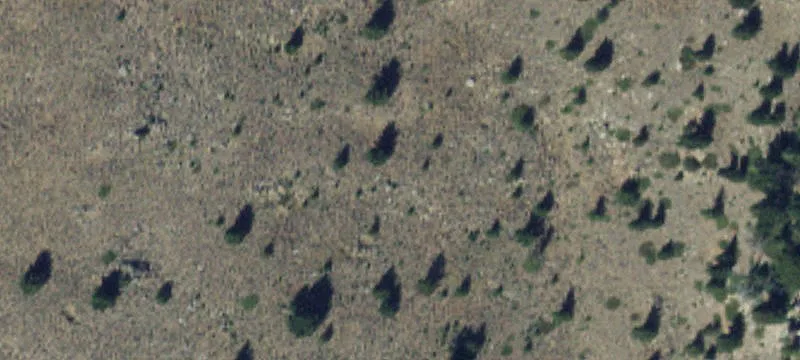 Pony, MT 59747