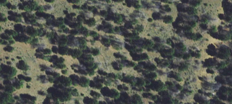 Basin, MT 59631