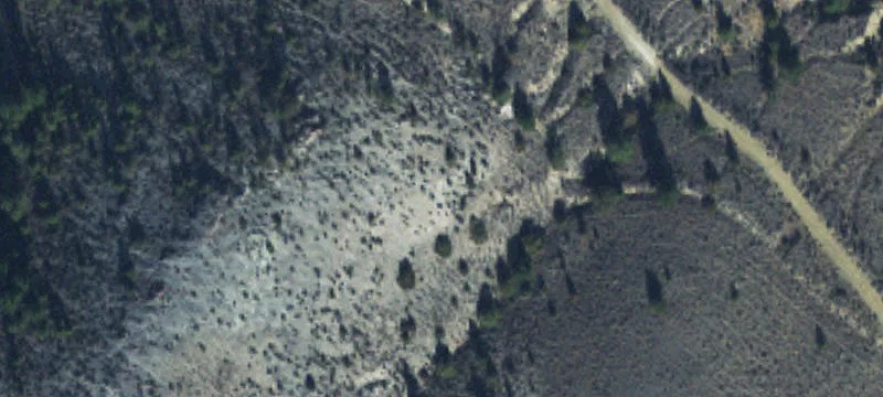 Dillon, MT 59725