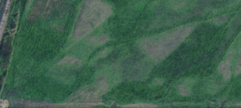 Charlo, MT 59824