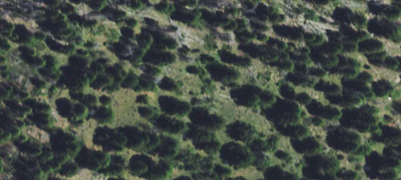 Basin, MT 59631