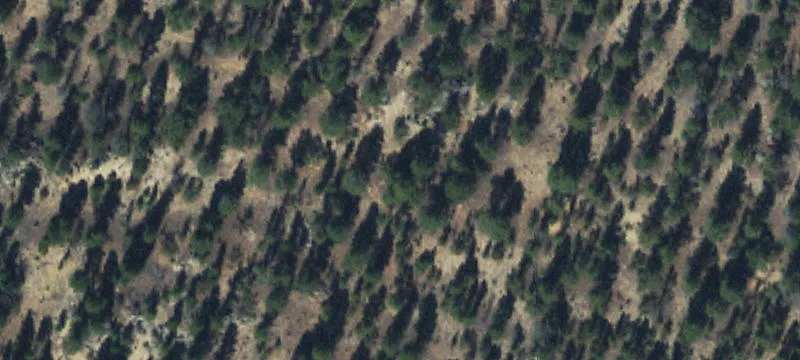 Dillon, MT 59725